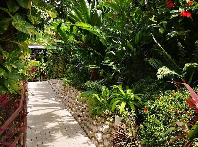 Belvedere Playa Costa Rica Hotel 3*