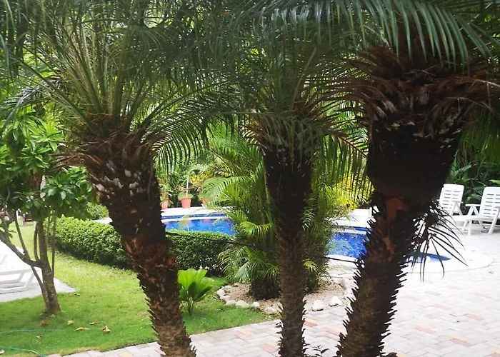 Belvedere Playa Costa Rica Hotel 3*