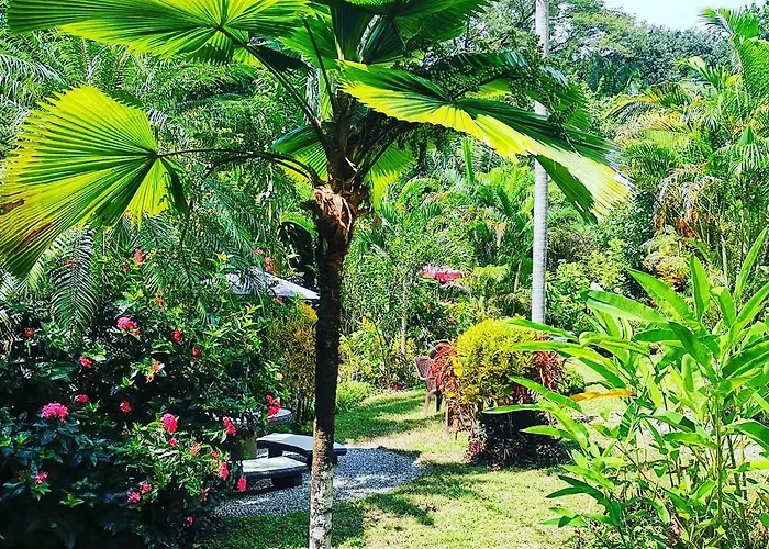 Belvedere Playa Costa Rica 3*
