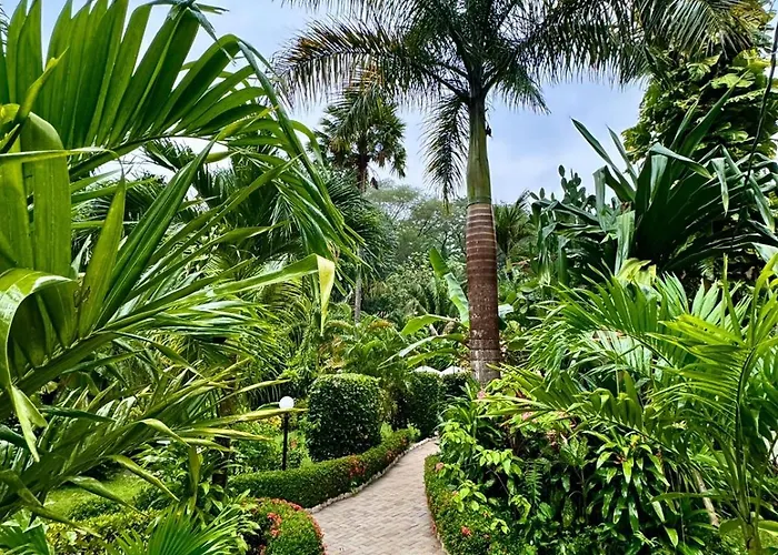 Belvedere Playa Costa Rica Hotel Samara