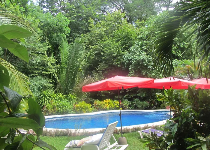 Belvedere Playa Costa Rica Hotel 3*