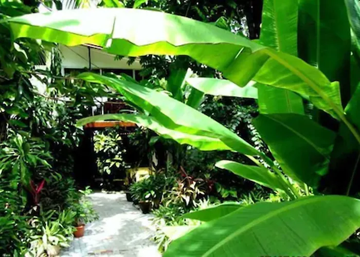 Belvedere Playa Costa Rica Hotel 3*